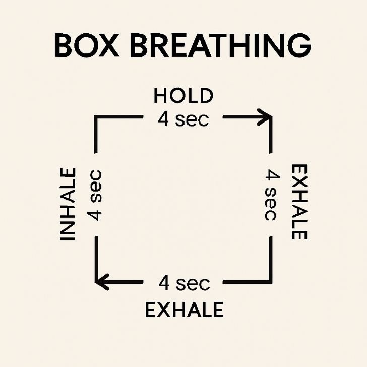 Box breathing for stress diagram showing inhale, hold, exhale, hold pattern