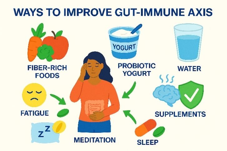 Daily wellness habits to improve gut immune axis