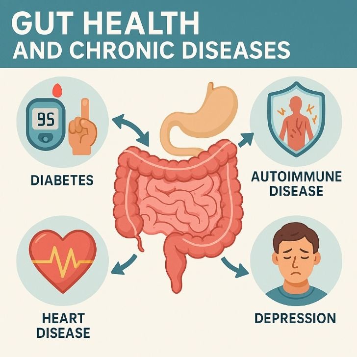 Chronic diseases linked to gut immune axis imbalance